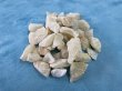 画像1: BEALSTONE 種石　ONIX WHITE   5Kg   12〜20mm (1)